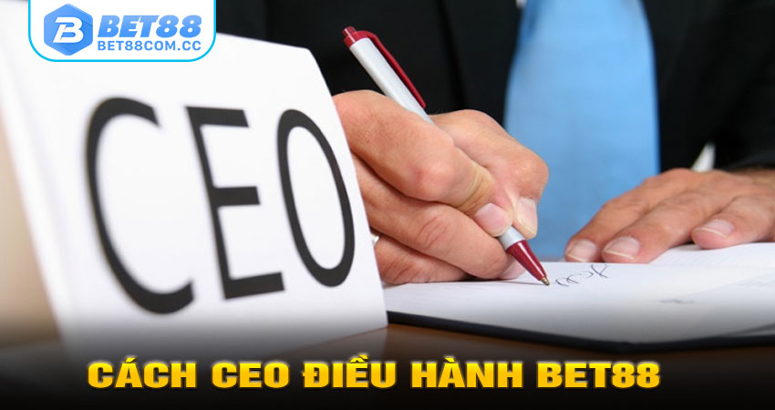 Cách CEO Điều Hành BET88 Vượt Qua Giai Đoạn Khó Khăn